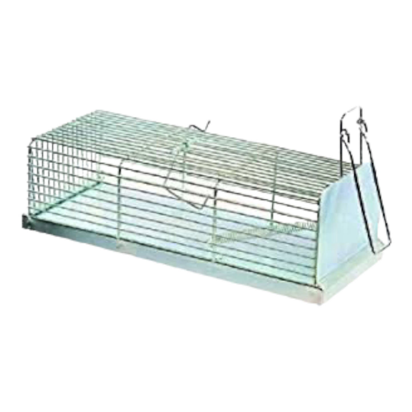 Flores Cortes 71002 - Trampa cincada para ratas 290x120x9