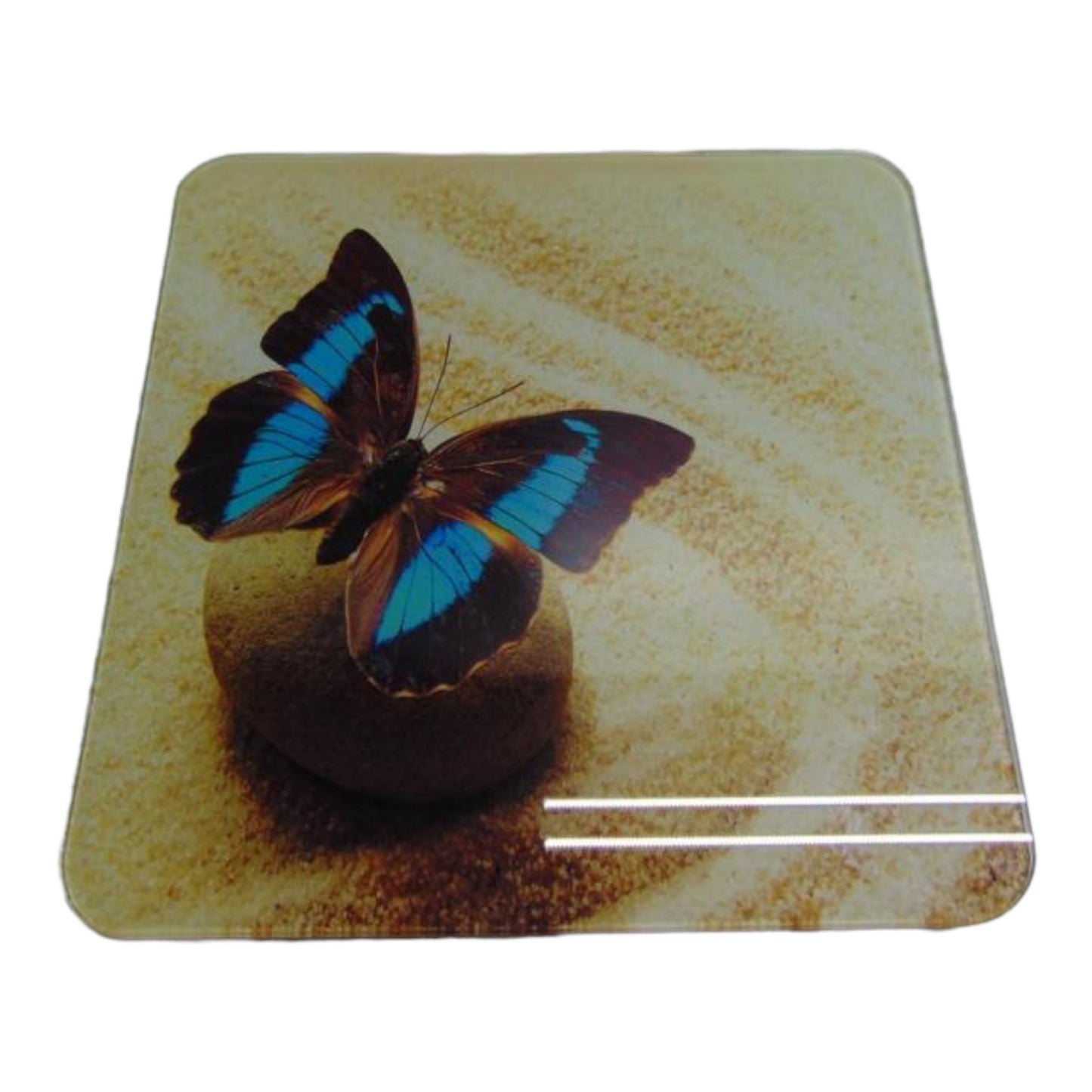 Báscula de baño SANDA SD-0224